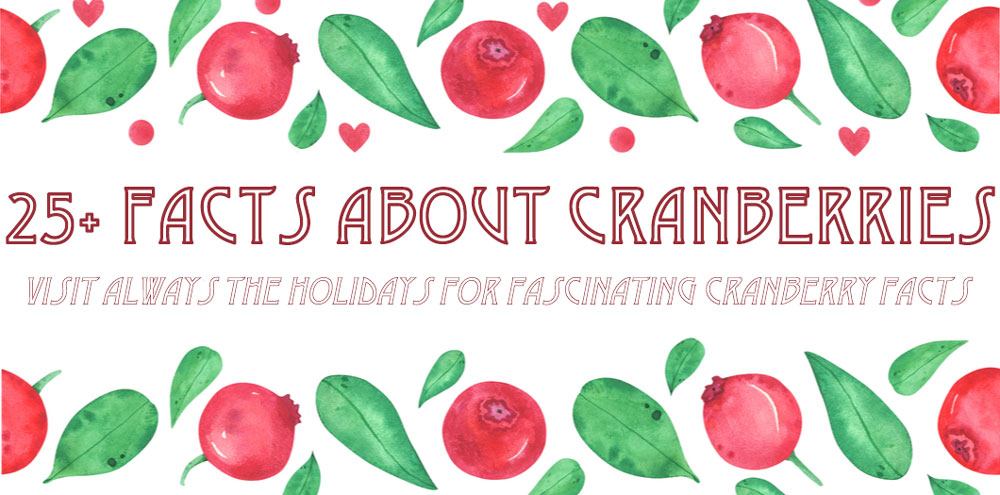 Facts about cranberries text surrounded by cranberry and cranberry leaf border. Text that reads "25+ facts about cranberries - visit Always the Holidays for fascinating cranberry facts" surrounded by colored pencil drawings of cranberries, cranberry leaves, and hearts as a border.