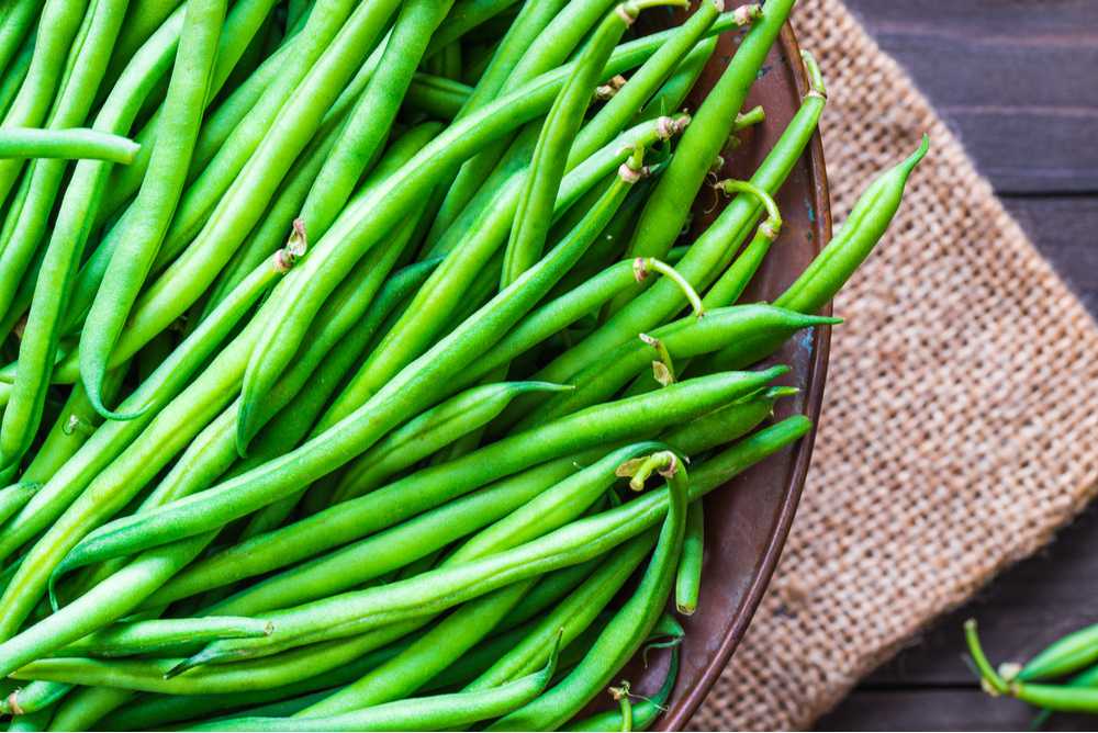 Fresh green beans. A plate of fresh, bright, green beans on a table on top of a burlap placemat.