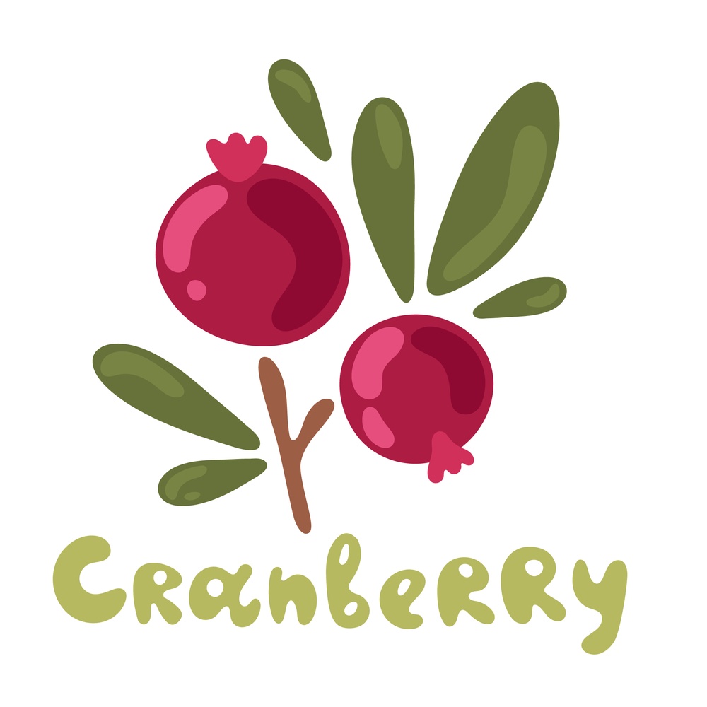 Cranberry clipart and text. A clipart cranberry with the word "cranberry" underneath it to bring up the topic asking how did cranberry get its name?