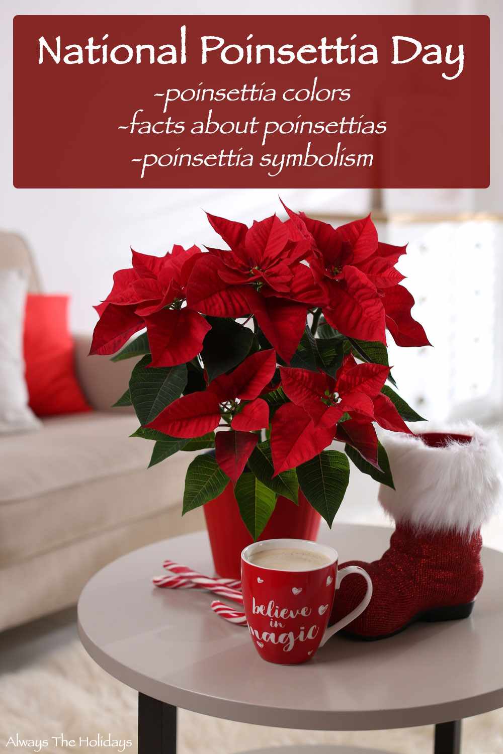 A poinsettia plant on a table next to a Santa boot, candy cane, and mug of hot chocolate with a text overlay that reads "Celebrate National Poinsettia Day with poinsettia colors, facts about poinsettias and poinsettia symbolism".