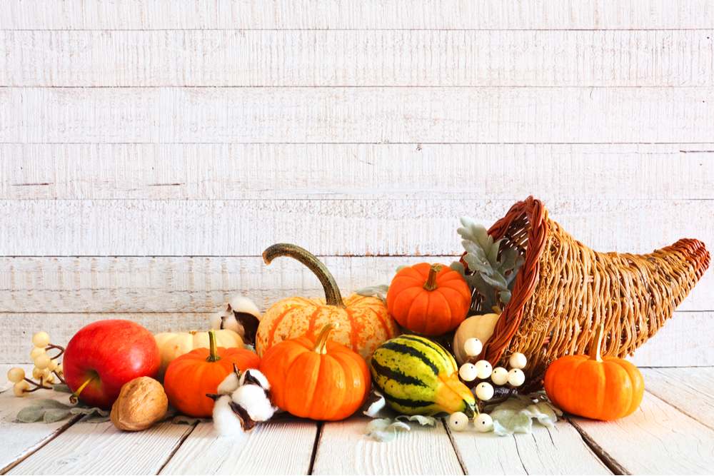 An overflowing cornucopia. A Thanksgiving cornucopia overflowing with gourds, pumpkins, and various other Thanksgiving symbols against a white background.