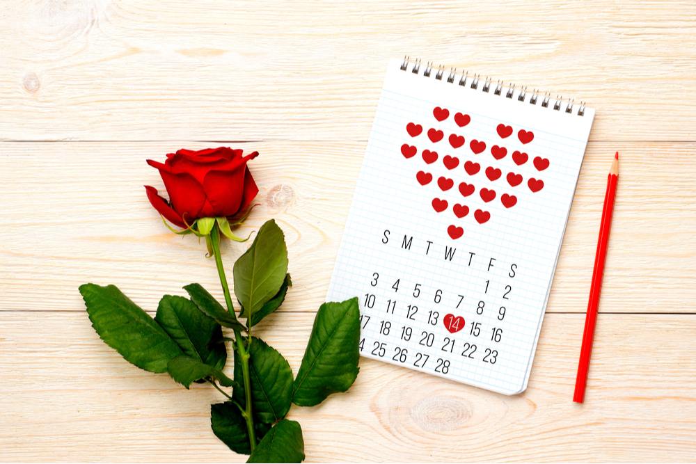 Rose and calendar A February calendar with hearts on it next to one of the symbols of Valentine's Day, a red rose.