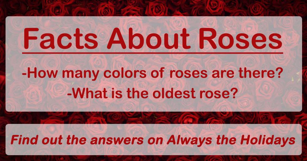 A text overlay reading "facts about roses, how many colors of roses are there, what is the oldest known rose?" over a photo completely filled with red roses.