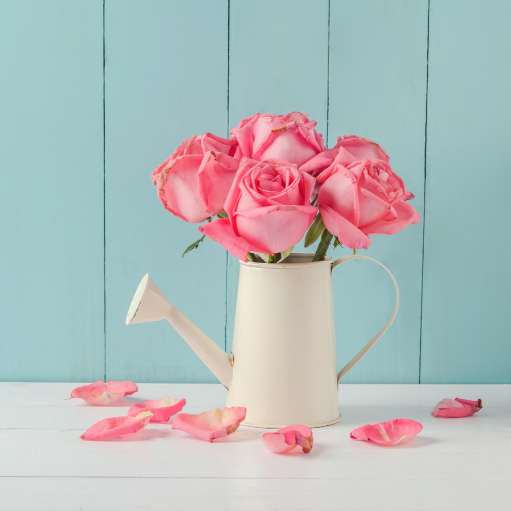 A white metal watering can holding a bouquet of pink roses that have dropped some of their petals on the table.