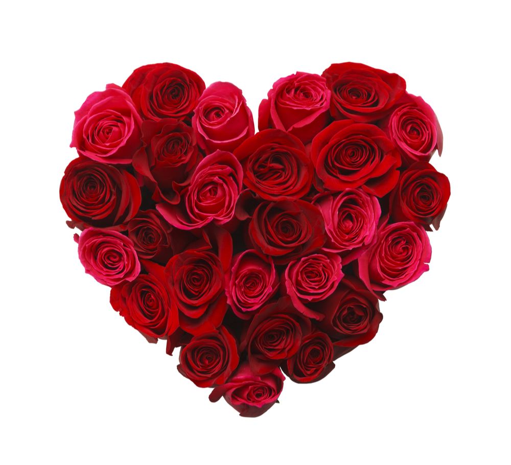 A heart made of red roses on a white background to allude to the meaning of red roses.