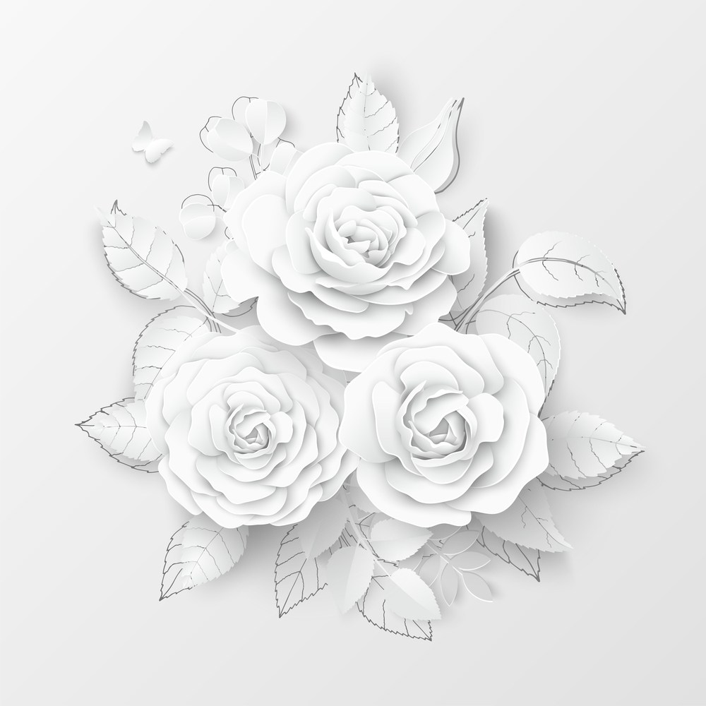 White paper roses White paper roses against a white background.