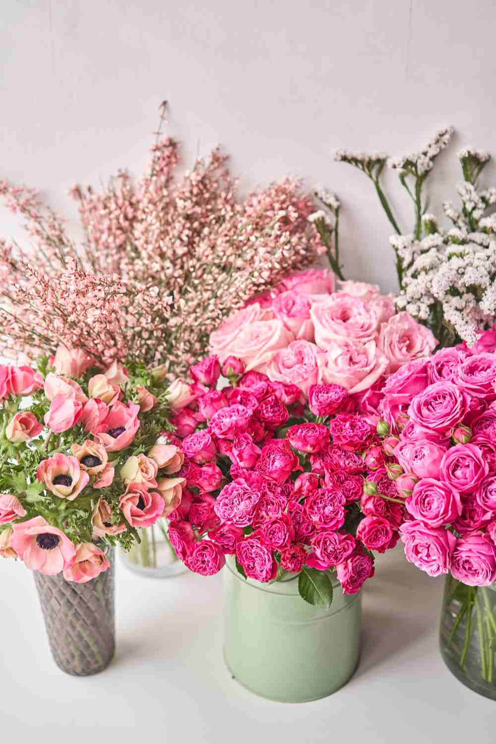 Six different containers holding different varieties of roses, some wild and some cultivated.