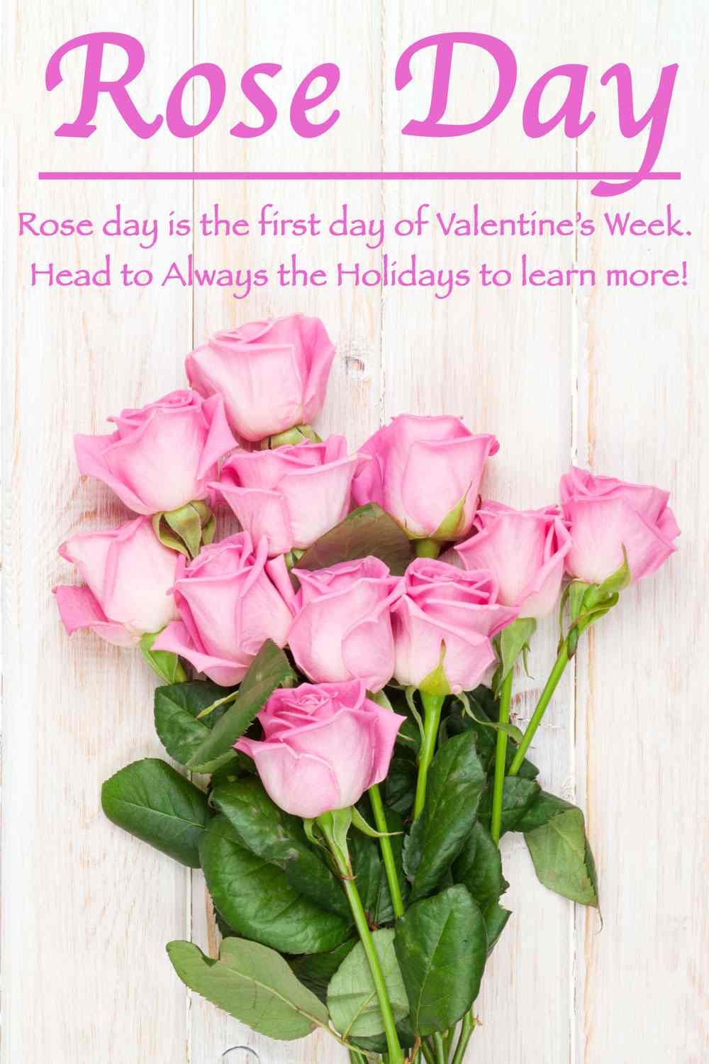 Let's celebrate Rose Day! A bouquet of pink roses on a white wooden backdrop with a text overlay that reads "Rose Day - Rose day is the first day of Valentine's Week - head to Always the Holidays to learn more".