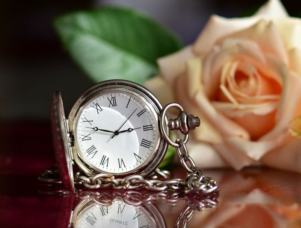 Pocket watch and rose A silver pocket watch reading 2:50 in front of a peach rose.