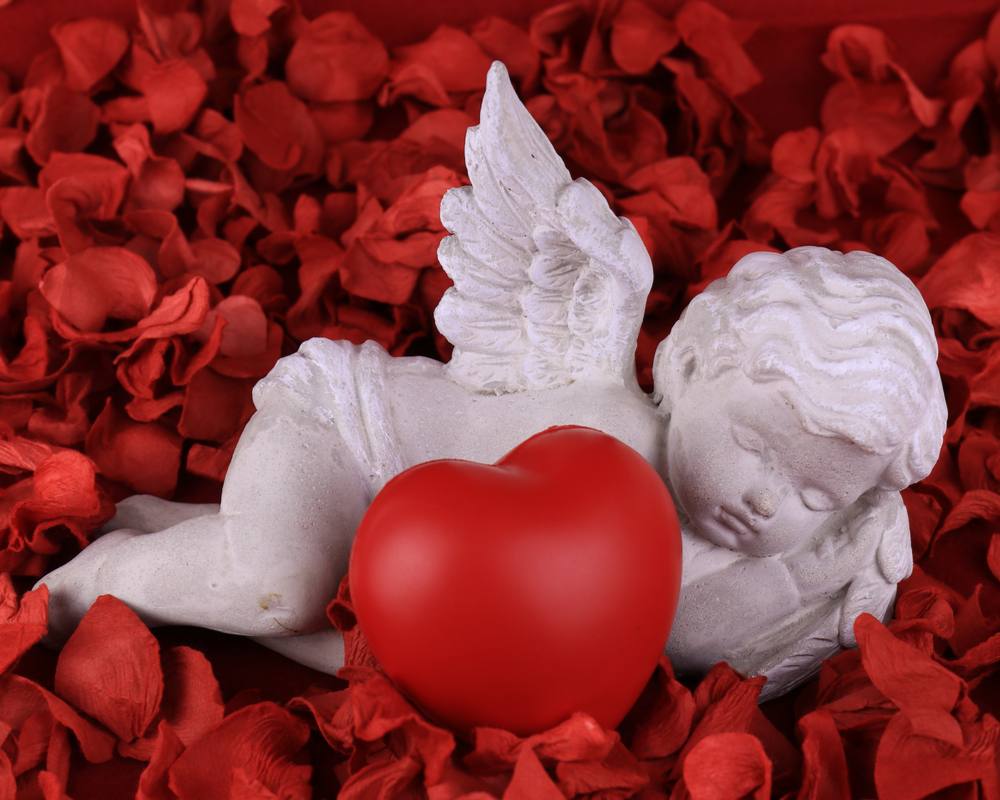 Cupid on a bed of roses A sleeping Cupid statue in a bed of rose petals, curled up next to a red heart.