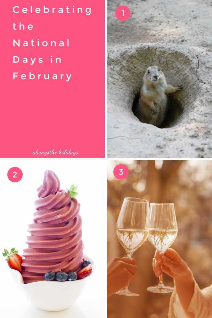 National days in February A collage of four squares, with a pink square in the top left and text reading celebrating the national days in February, and then going clockwise are images of a groundhog, frozen yogurt and wine.