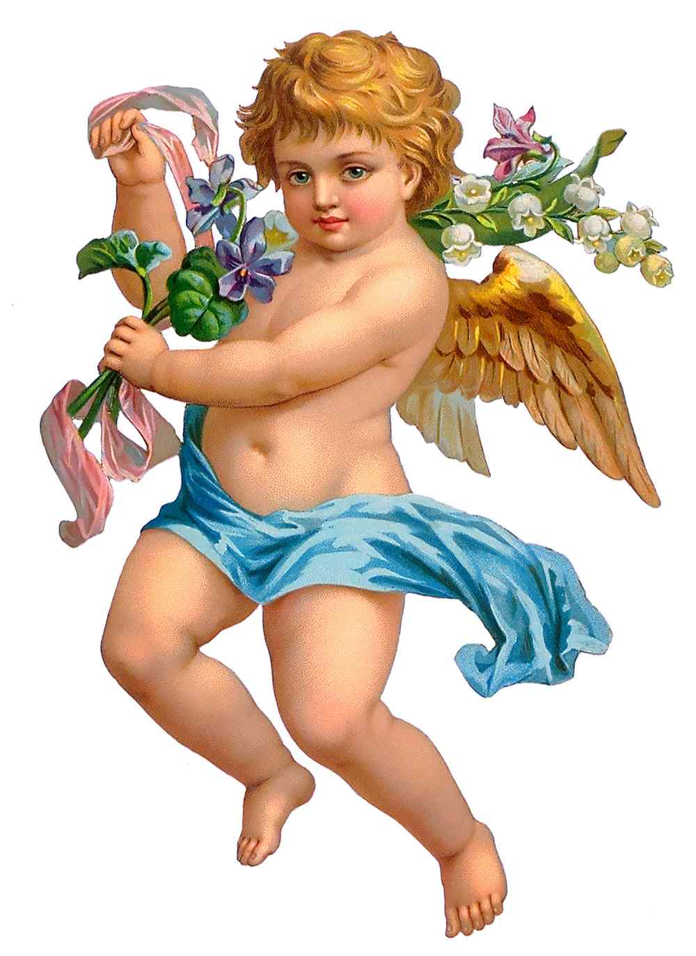 Cupid and flowers A naked cupid with wings, a blue cloth across him, and flowers around him.