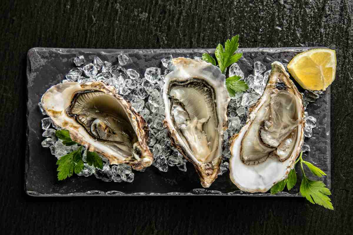 Three raw oysters A slate grey plate of raw oysters on ice with a lemon wedge to celebrate Mardi Gras foods.