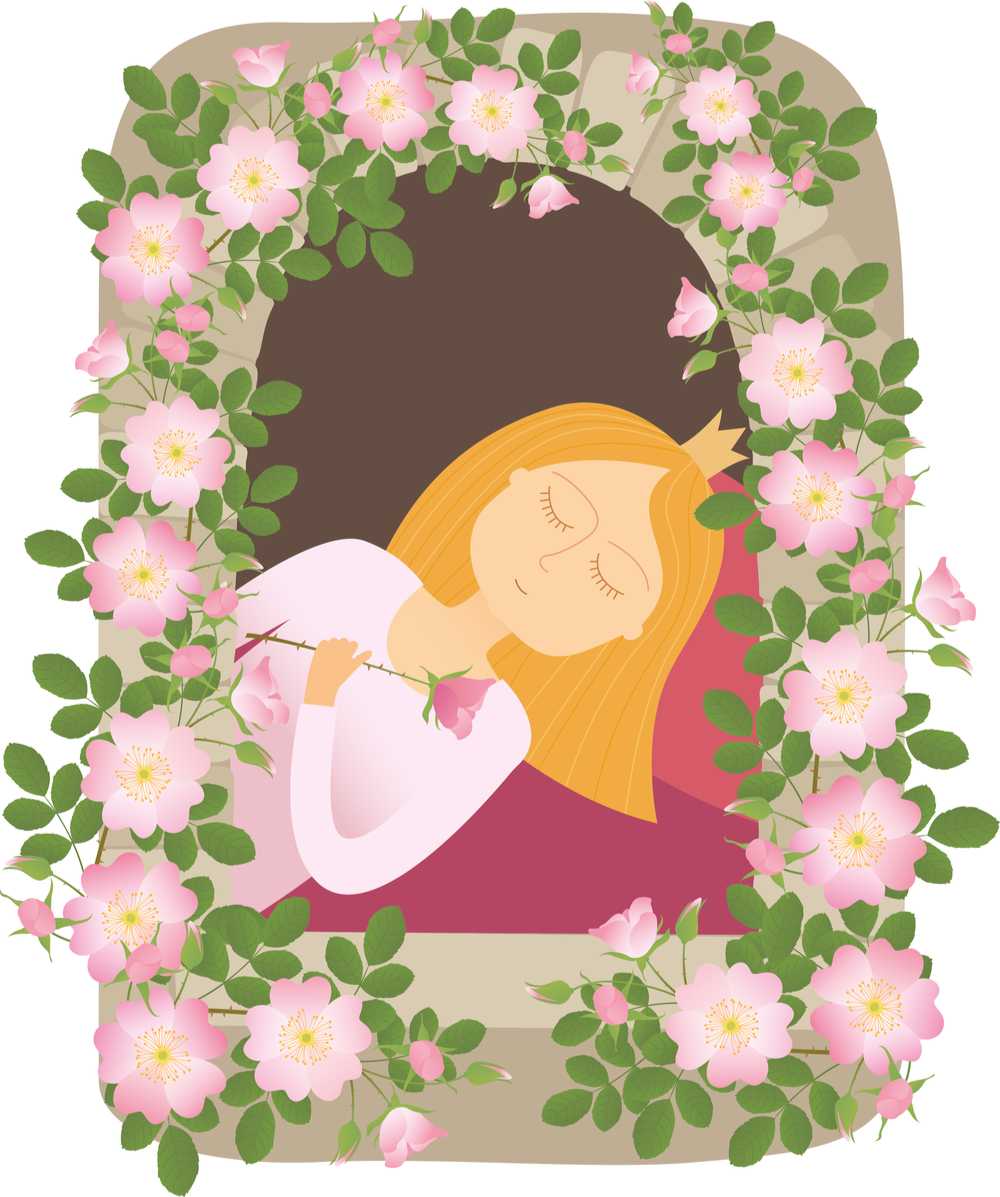 Sleeping Beauty through a window asleep A cartoon version of Sleeping Beauty asleep on her bed, surrounded by a rose adorned window.