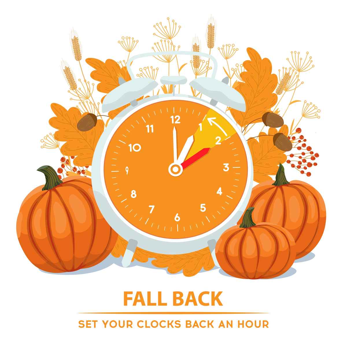 An autumnal clock An orange cartoon alarm clock changing to daylight saving time, next to pumpkins with the words "fall back set your clocks back an hour" beneath it.