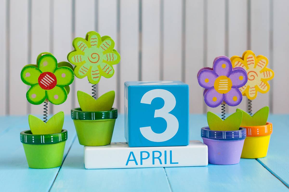 April 3 blocks & flowers Blocks that read April 3 nestled between four fake potted flowers, the two on the left are green, and the ones on the right are purple and yellow.
