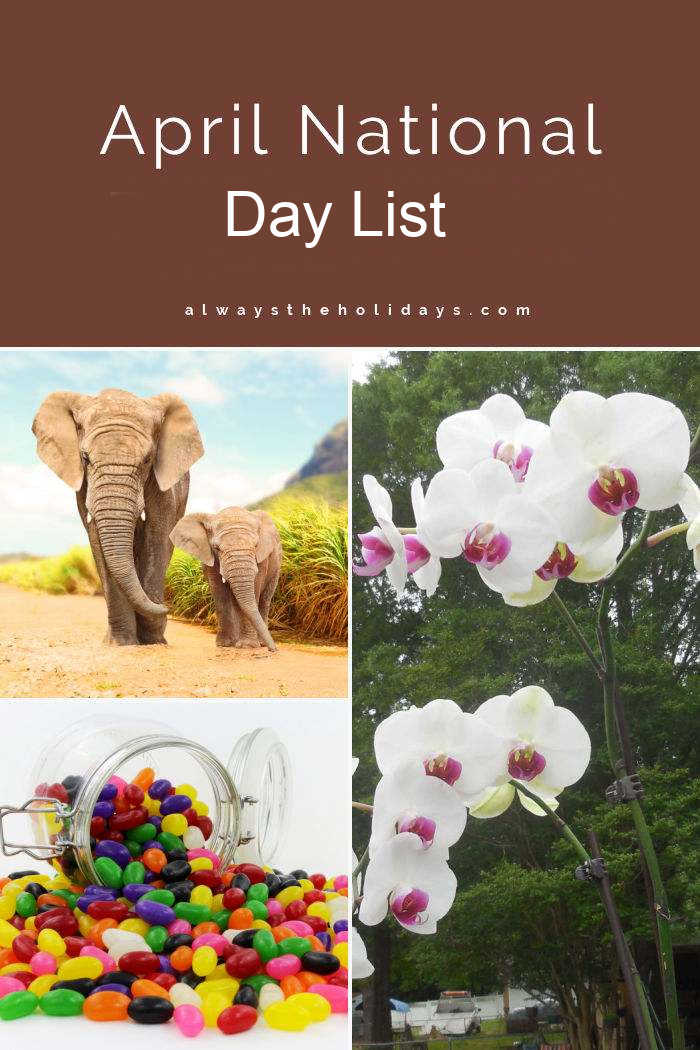 April National Day List Elephant, orchid and candy with words April national day list.