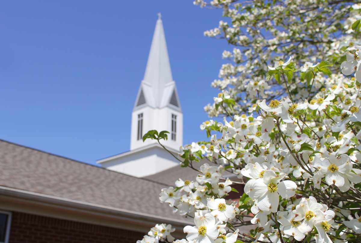 Dogwood tree and church A dogwood tree in the foreground of a photo with a church steeple in the background to show the religious symbolism of dogwood.
