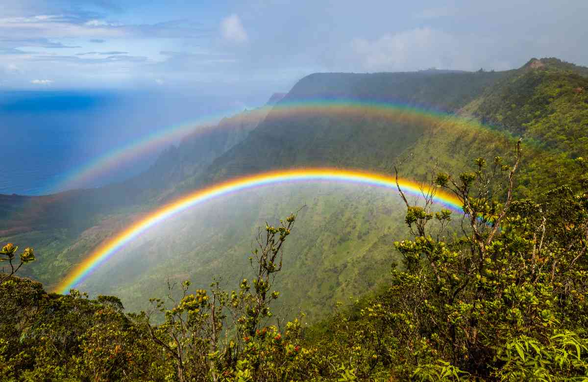 Double rainbow in Hawaii A double rainbow in Hawaii with trees in the foreground and the sky and sea in the background.