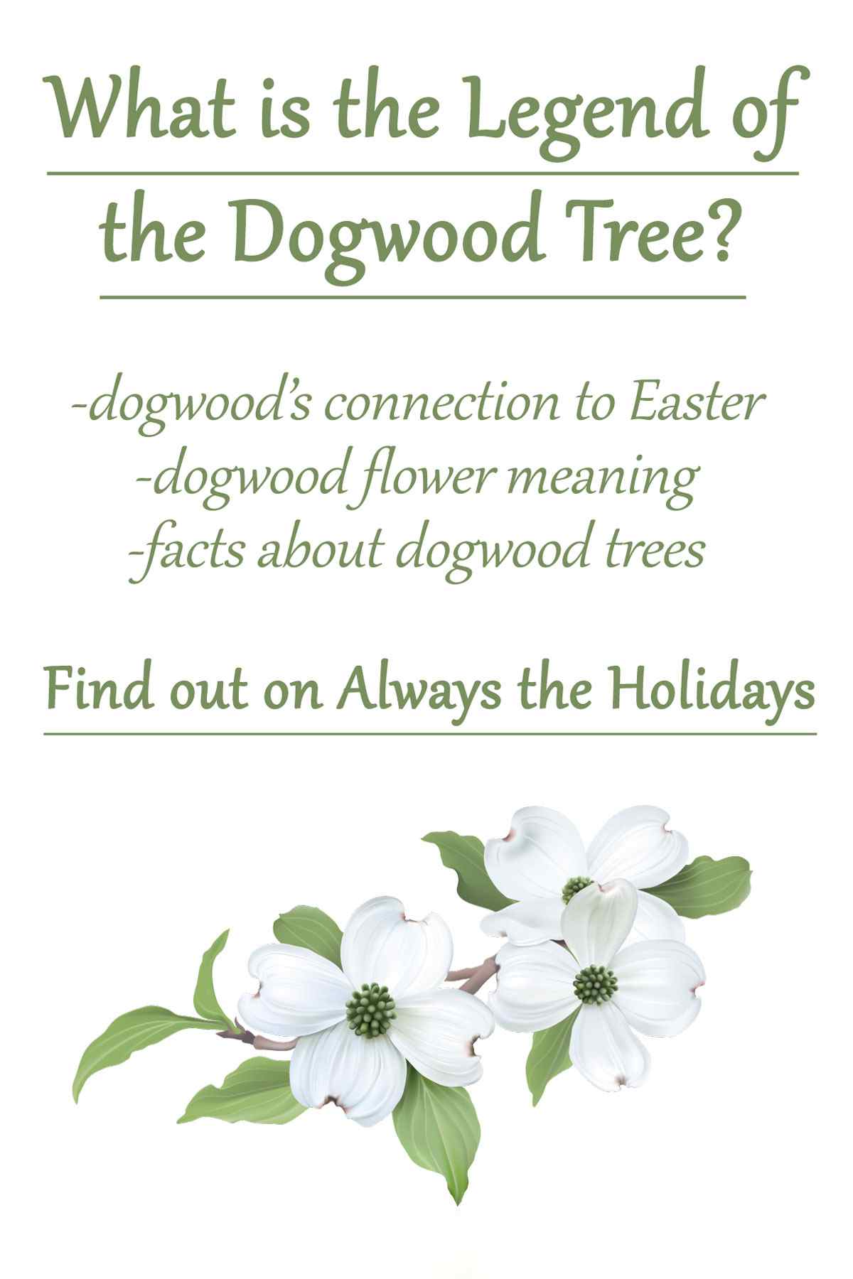 The Legend of the Dogwood Tree A white background with three illustrated dogwood flowers at the bottom, and a text overlay advertising the legend of the dogwood tree, the dogwood flower meaning and facts about dogwood trees above it.
