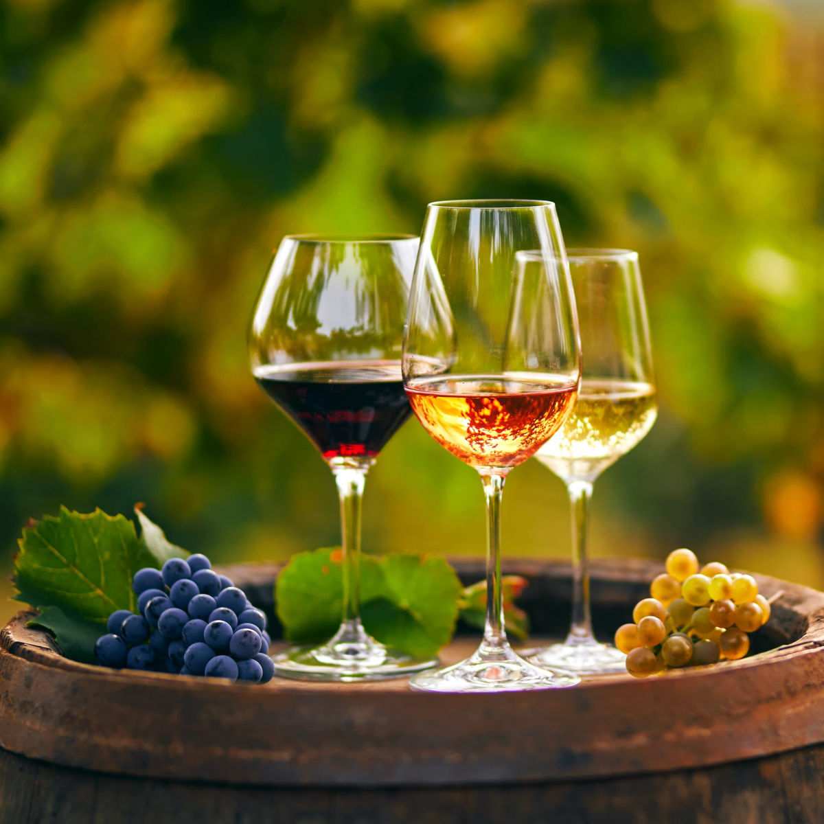 Three wines in glasses on a wine barrel A glass of red wine, white wine and rose wine on a barrel with grapes next to them at a winery, and the wine in each glass is the ideal wine temperature.