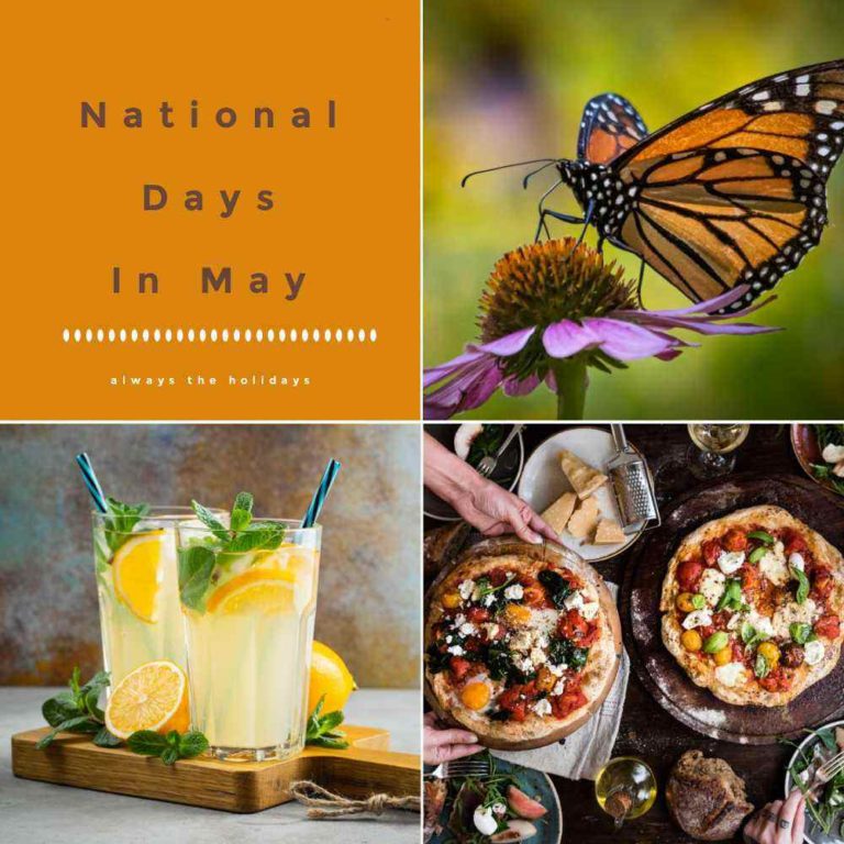 Butterfly, drink and pizza with words National Days in May.