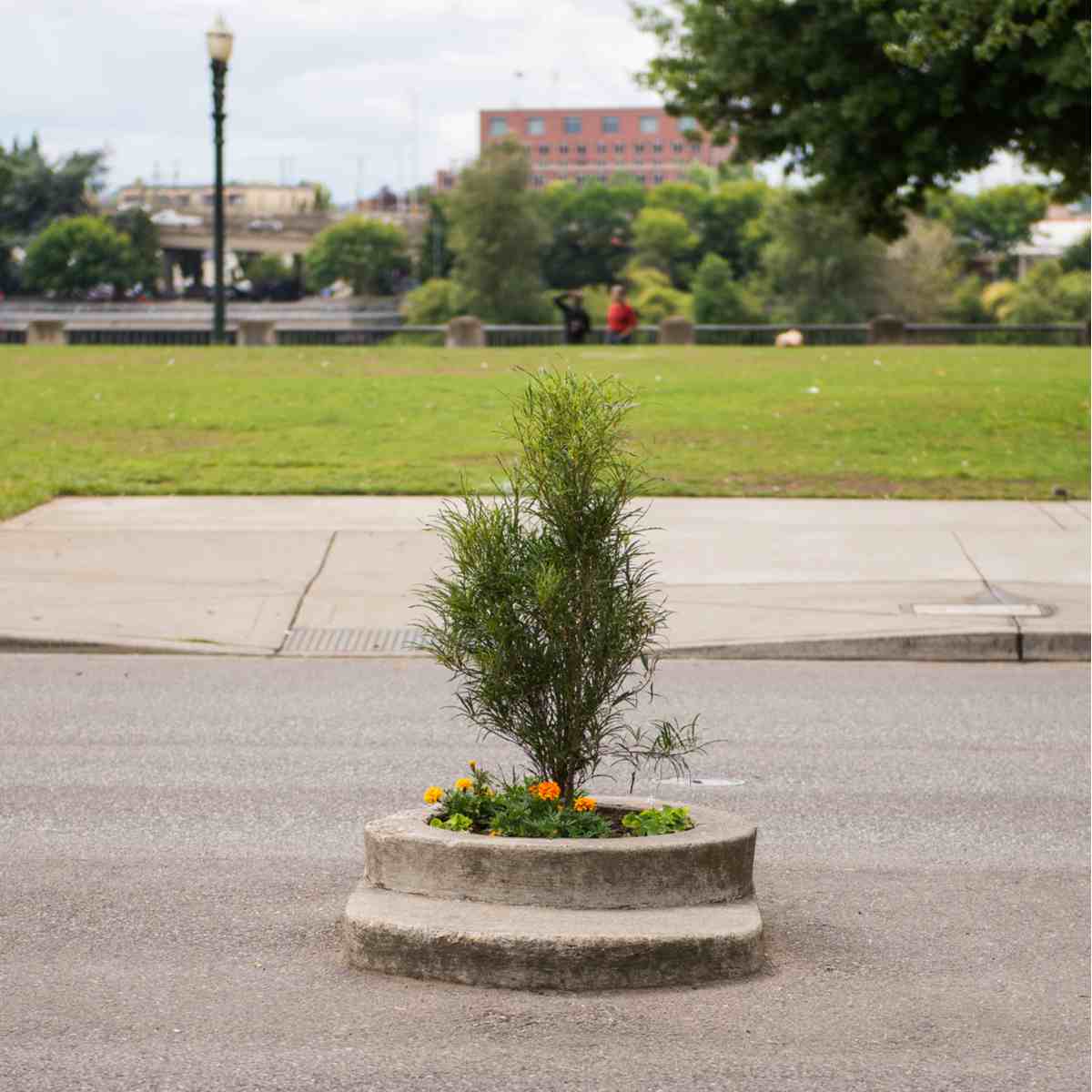 Mills Ends Park The smallest park in the world called Mills Ends Park, in Oregon, which measures 2 feet across.