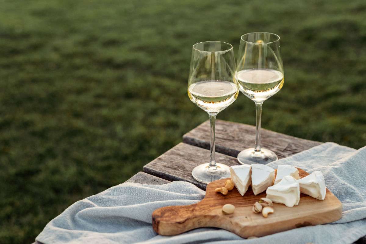 Picnic with white wine Two white wine glasses at the perfect serving temperature for white wine on a wooden table with a cloth draped over it and a cheese board on top of it.