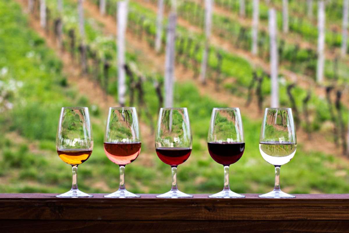 Wine tasting glasses Five wine glasses holding tastes of different wines at a winery to celebrate National Wine Day.