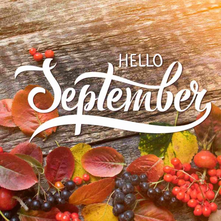 Fall greenery and words Hello September