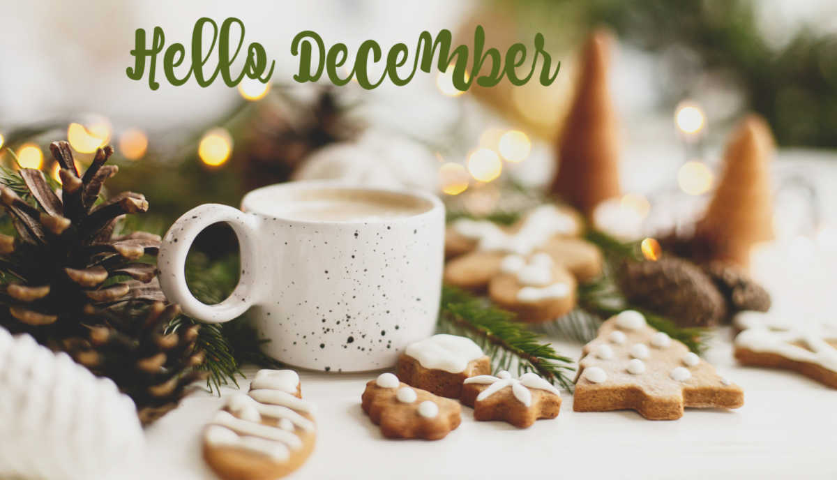 Celebrate December with food and drink days. White coffee cup surrounded by cookies and words Hello December!