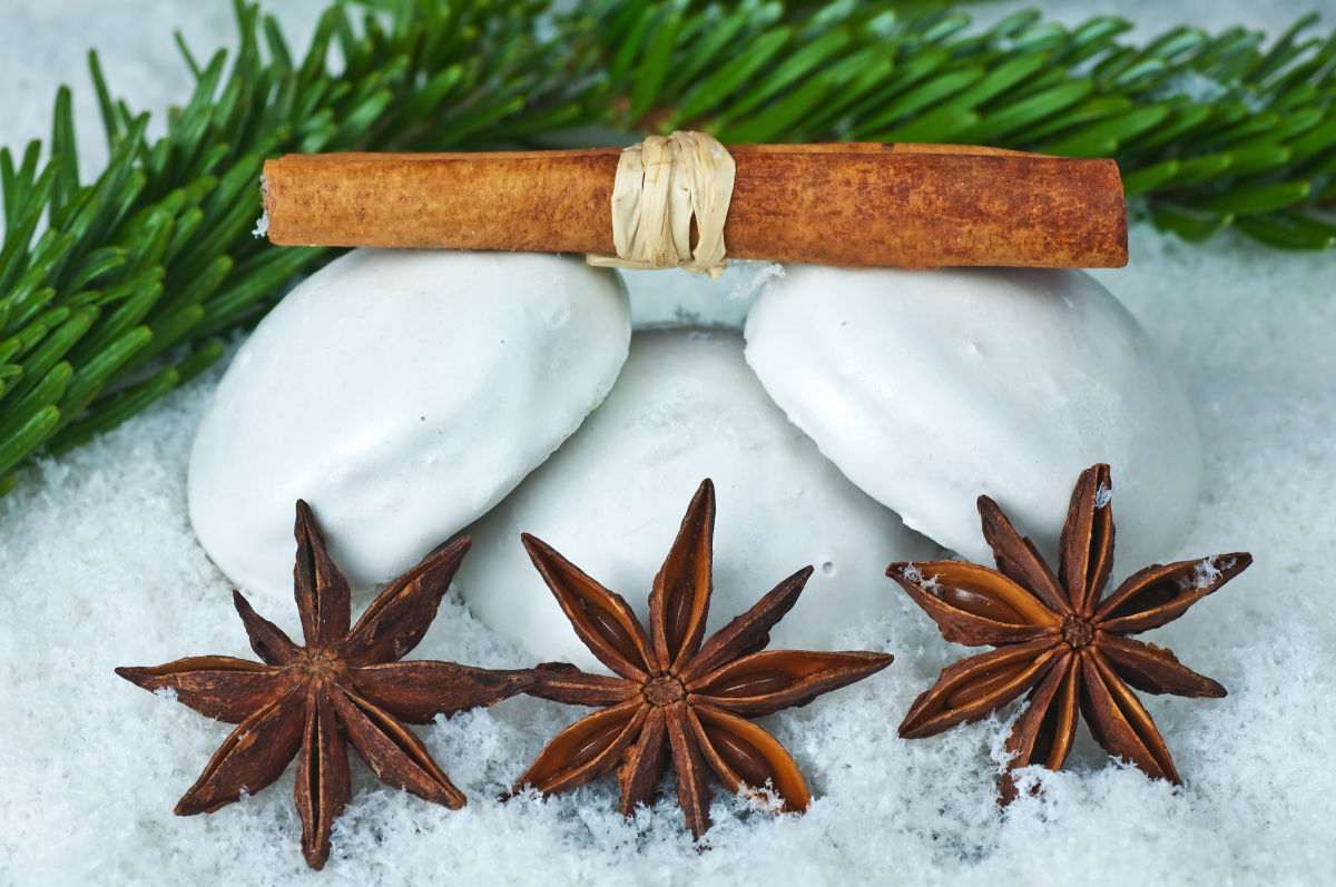 Pfeffernusse day is today! Pfeffernusse cookies with cinnamon stick and star anise.