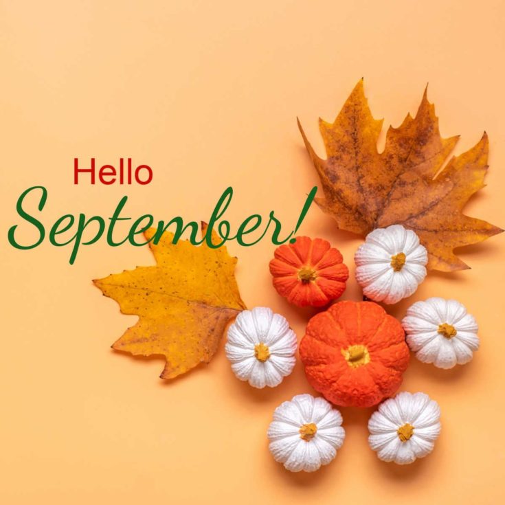 Pumpkins and leaves with words Hello September!
