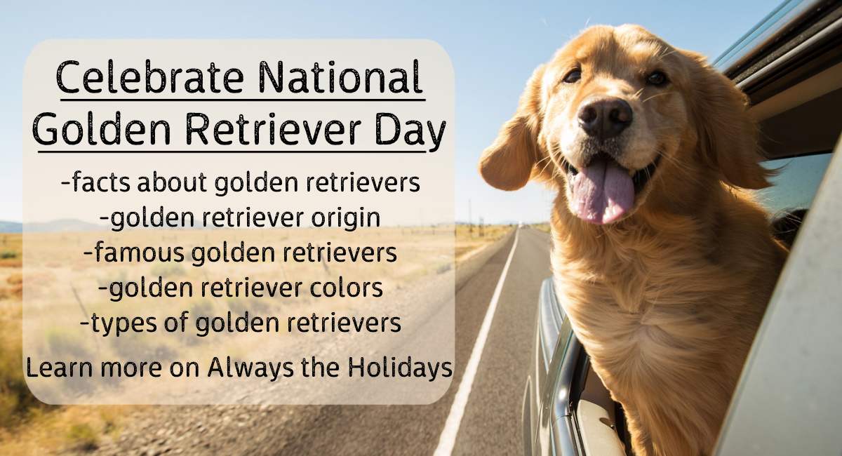 Text about National Golden Retriever Day Text in black lettering about golden retrievers that reads "Celebrate National Golden Retriever Day, facts about golden retrievers, golden retriever origin, famous golden retrievers, golden retriever colors, types of golden retrievers" next to a golden retriever dog with his head hanging out the window of a car on a road during the daytime.
