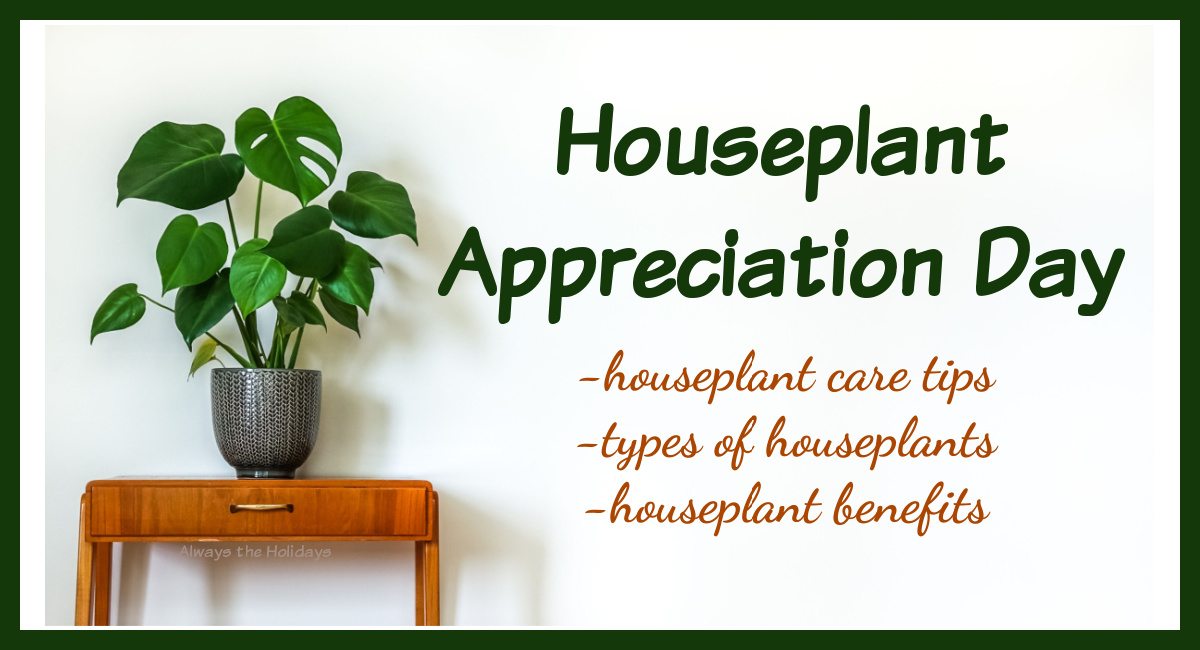 Houseplant Appreciation Day graphic A large monstera on top of a side table with a text overlay beside it that reads "Houseplant Appreciation Day - houseplant care tips, types of houseplants and houseplant benefits".