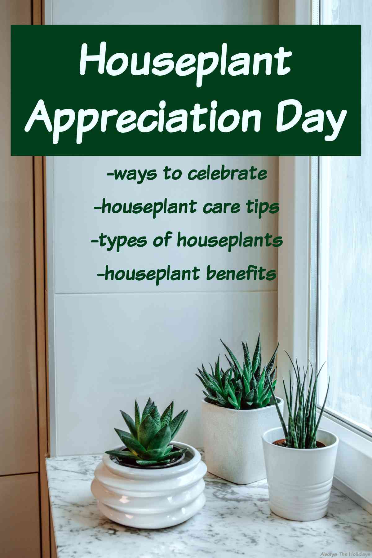 Find Out All About Houseplant Appreciation Day! Three succulents in small white pots on a window sill with green box over it that reads "Houseplant Appreciation Day" with bullet points in green text under which say "houseplant care tips, types of houseplants and houseplant benefits".