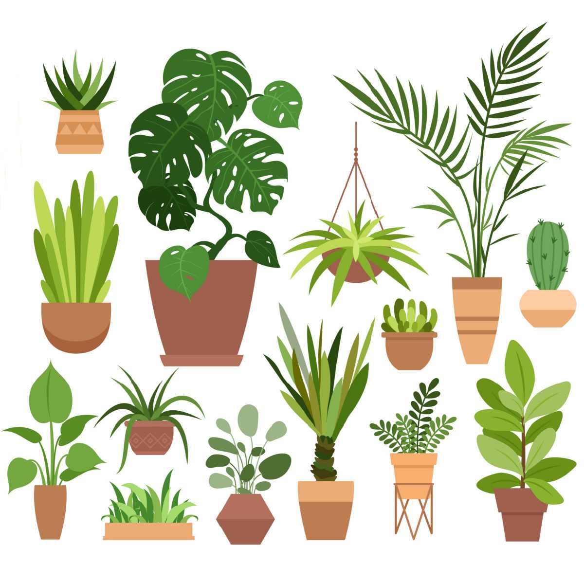 Cartoon houseplants A square image with a white background and cartoon images of various types of houseplants for Houseplant Appreciation Day.