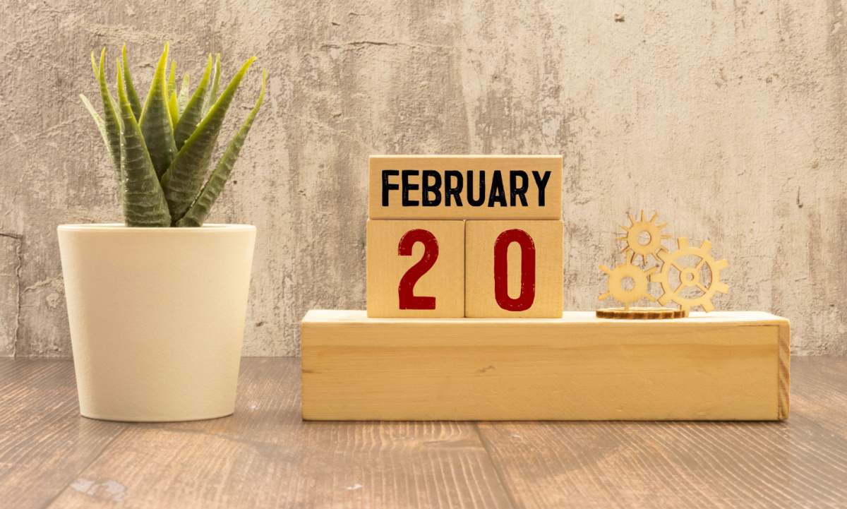 February 20 blocks Blocks that read "February 20" next to a potted aloe plant.