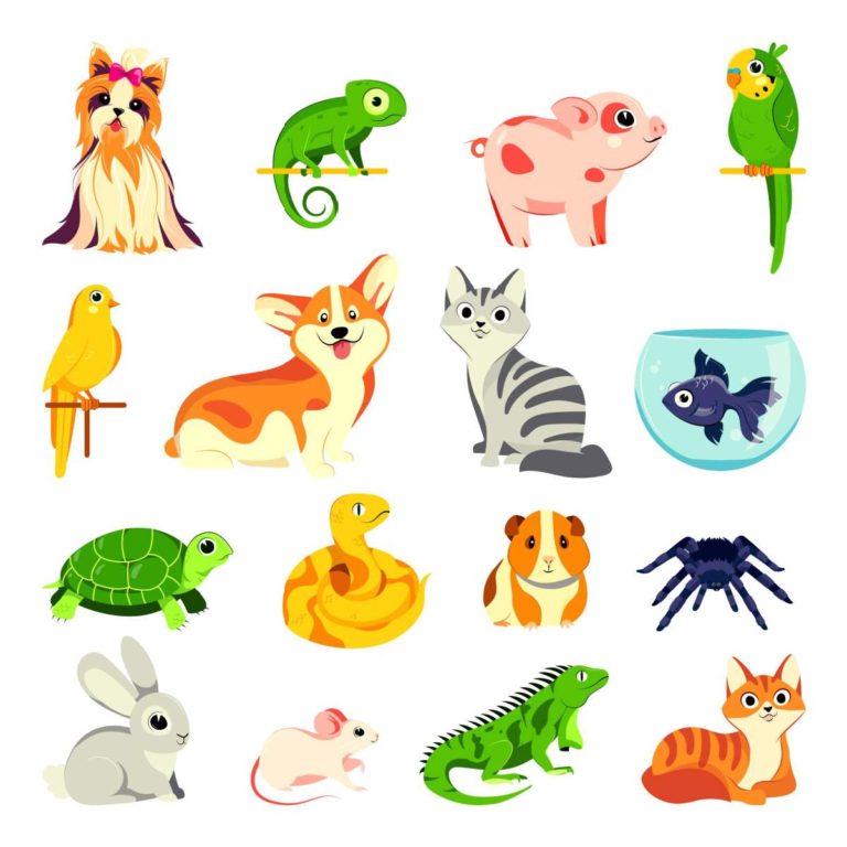 A white background with 16 vectors of pets on it to celebrate National Love Your Pet Day.