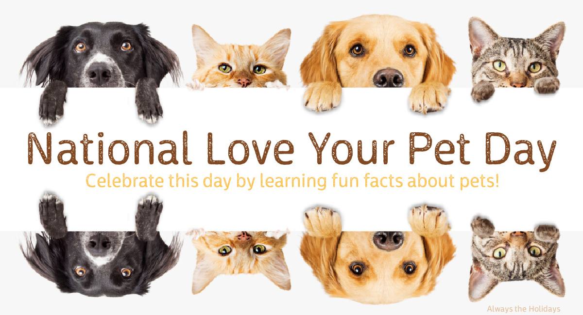 National Love Your Pet Day graphic A row of cats and dogs peering over text that reads "National Love Your Pet Day, celebrate this day by learning fun facts about pets", and another line of pets underneath it.