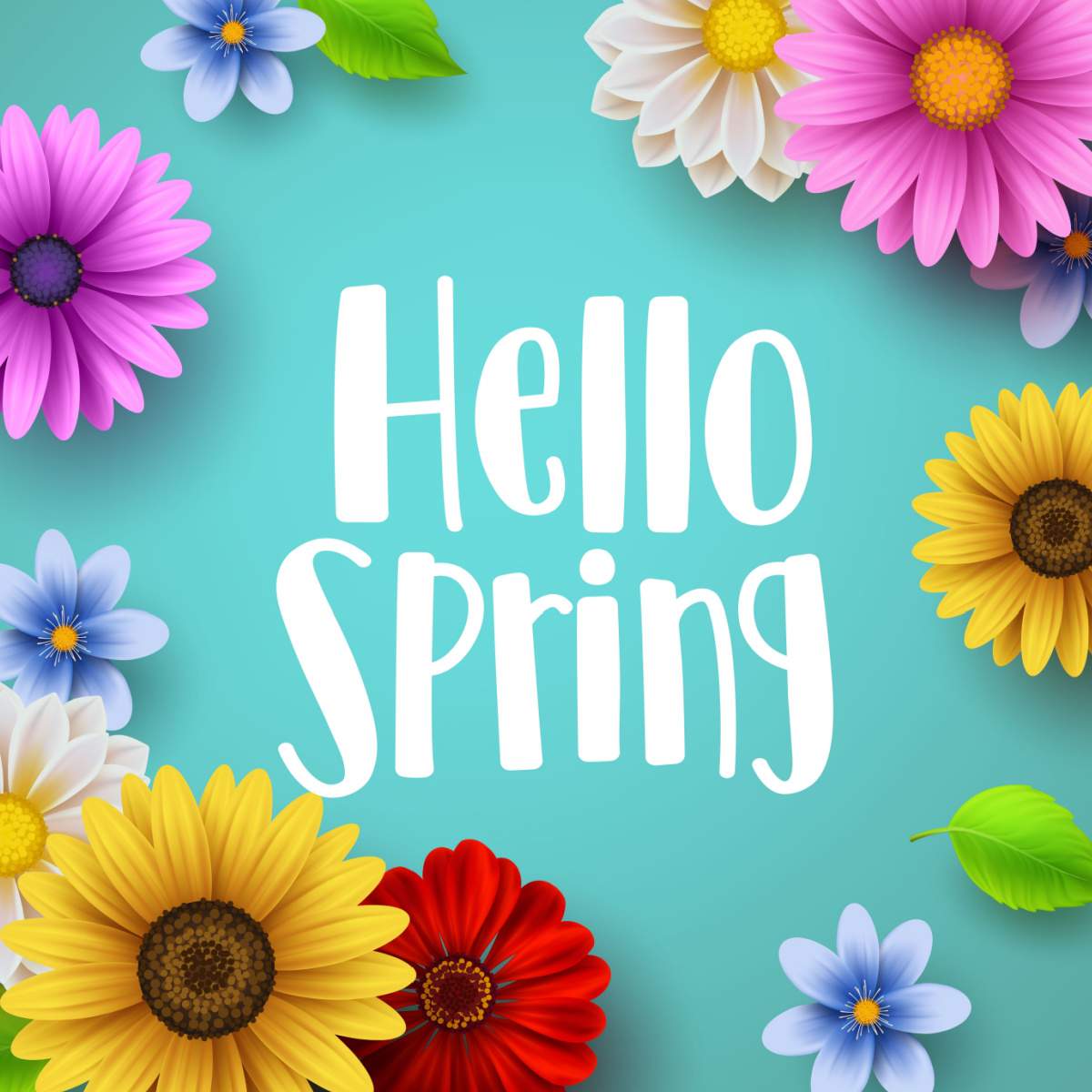 Hello spring graphic A teal background with the words Hello Spring in the center, surrounded by a border of spring flowers like sunflowers and daisies.
