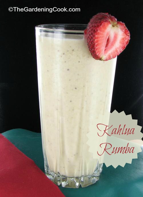 Image for Kahlua Rumba – Adult Ice Cream Milk Shake