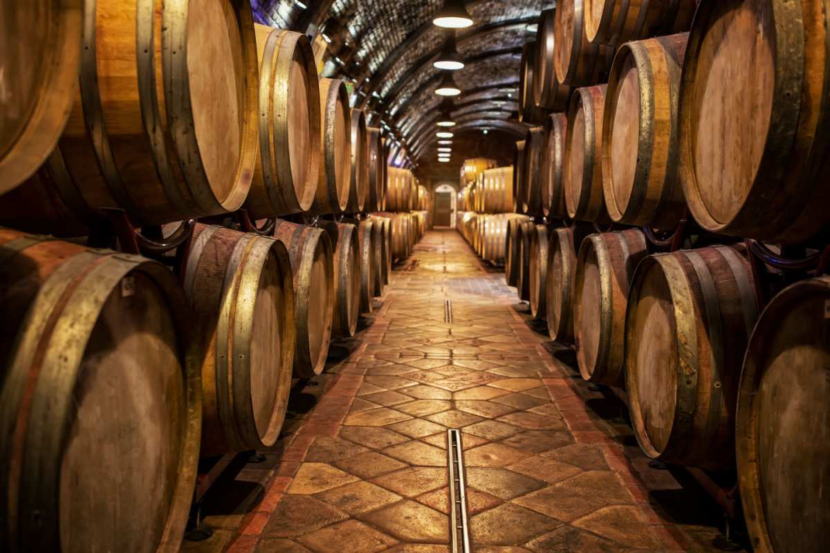 Oak barrels A walkway flanked on both sides but two stacked rows of oak barrels used to age rum for as far as the eye can see.