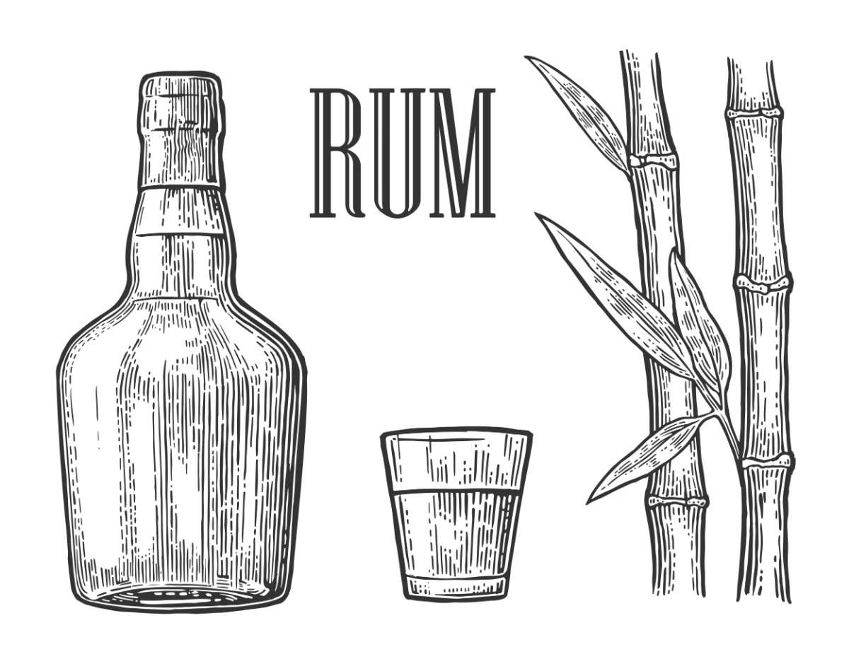 An illustration of sugarcane plants, a bottle, and a shot glass of rum with the word "rum" written above it.