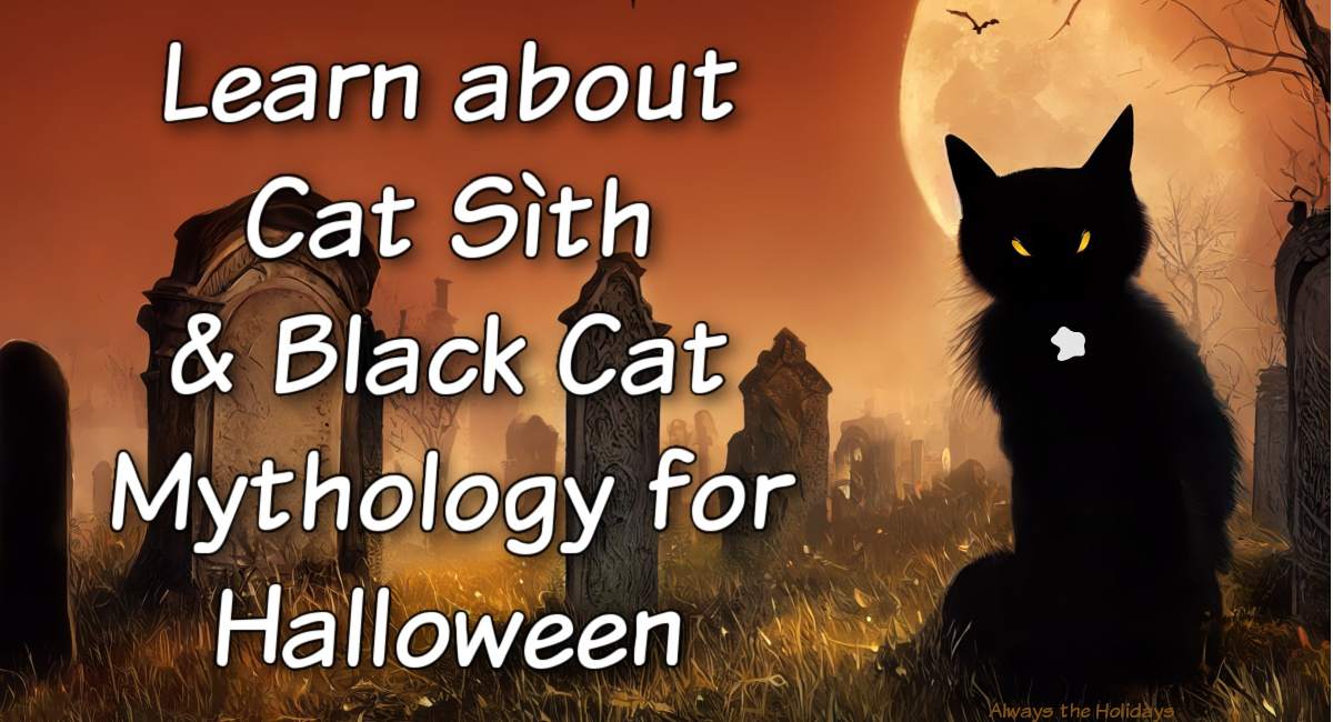 A black cat with a white patch on its chest sitting in a graveyard with a harvest moon on the right side of the image, and a text overlay that reads "Learn about cat sith & black cat mythology for Halloween".