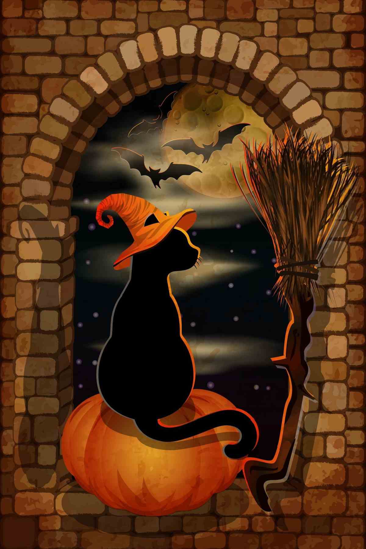 A black cat sitting on a pumpkin in a window arch wearing an orange witches hat, looking out at the night sky which has bats flying through it.