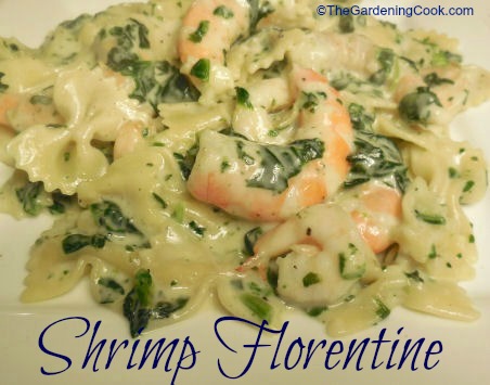 Image for Shrimp Florentine with Bow Tie Pasta