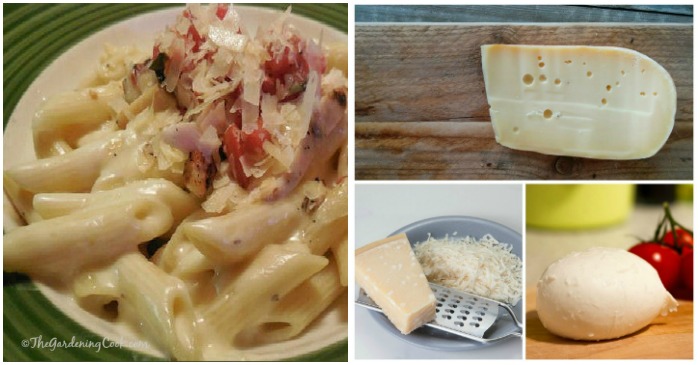 Image for 3 Cheese Chicken Penne with Alfredo Sauce
