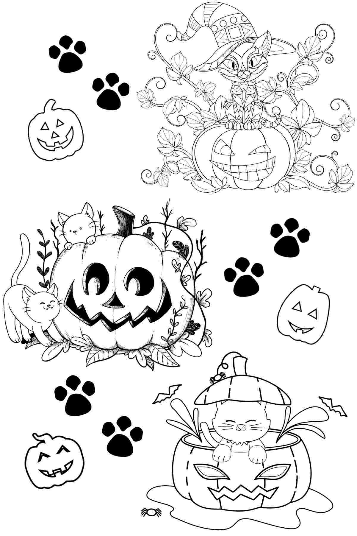 Coloring pages for Halloween with three different cat images on it, the top image depicts a cat wearing a witches hat coming out of a jack o lantern, the middle image has two kittens playing around a jack o lantern, and the bottom image has a simply drawn cat coming out of a jack o lantern, with paw prints and tiny jack o lanterns filling in the blank space between these three images on the free coloring pages.