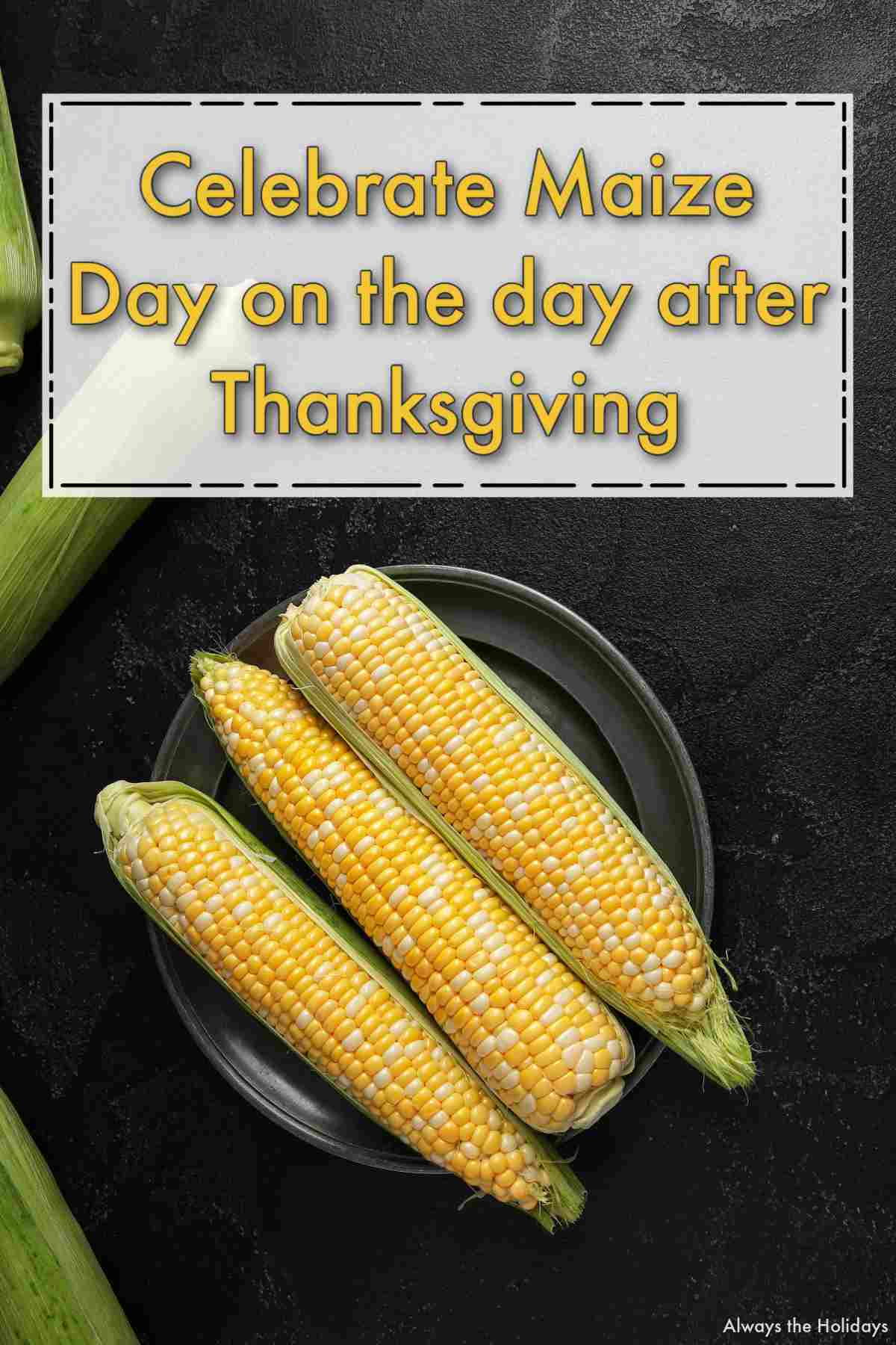 A black plate with three shucked corn cobs on it, and a text overlay in a white box above it that says "Celebrate Maize Day on the day after Thanksgiving".
